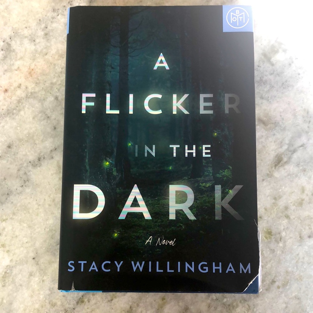 A Flicker in the Dark by Stacy Willingham
